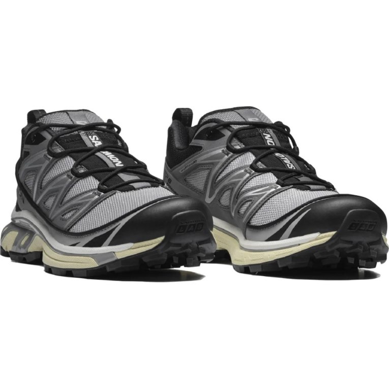 Tenis Salomon Xt-6 Expanse Feminino Cinzentas | PT D84529